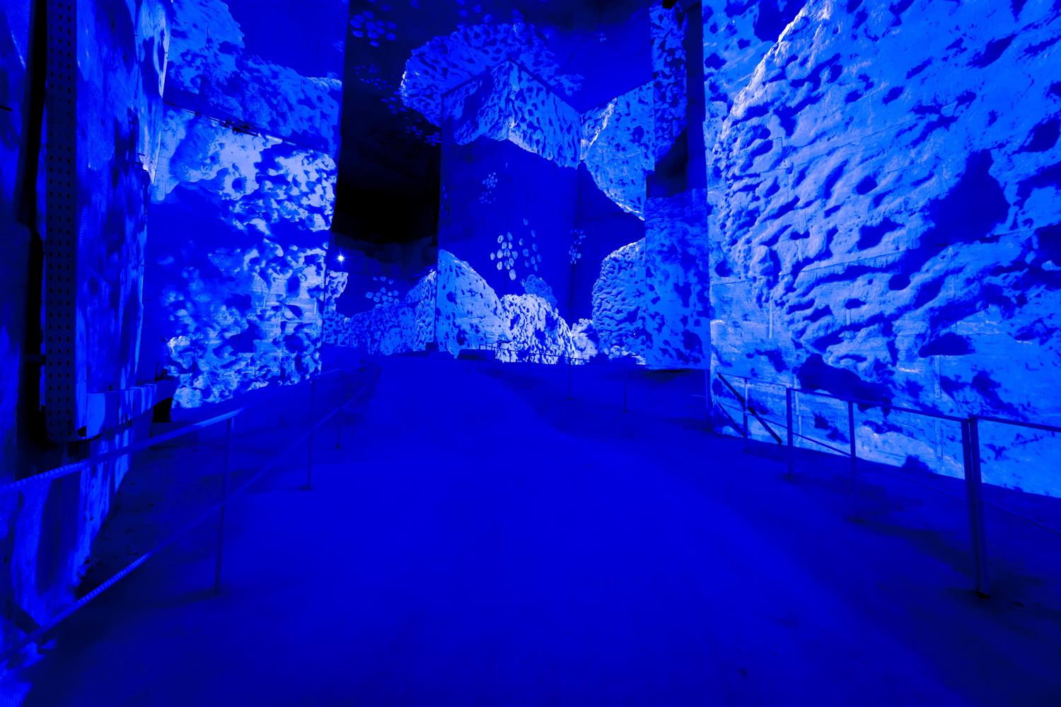 نمایشگاه ایو کلن: آبی بی‌پایان 